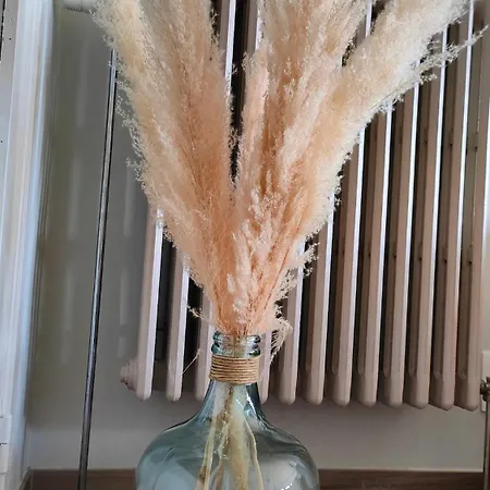 Sea-scape - - Spacieux Tres Bien Situe Avec Vue Sur Apartament *